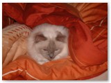 DSCF0008