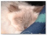 DSCF0008