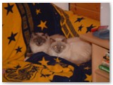 DSCF0037