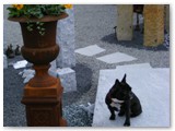 DSCF7449