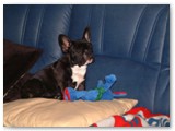 emma-sofa