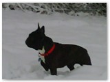 IMG00033